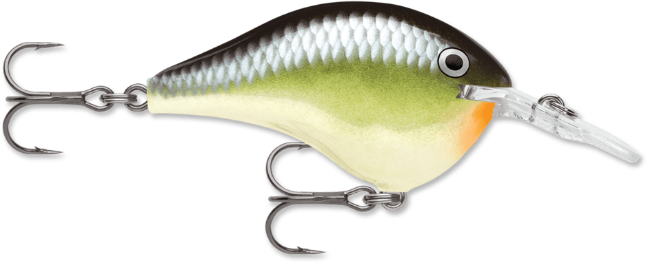 Rapala DT - Poissons Nageurs - Kit de pêche