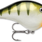Rapala DT - Poissons Nageurs - Kit de pêche