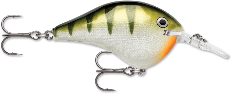 Rapala DT - Poissons Nageurs - Kit de pêche