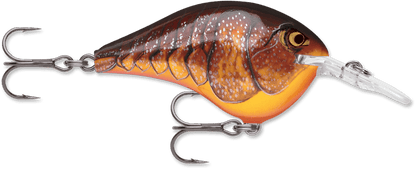 Rapala DT - Poissons Nageurs - Kit de pêche