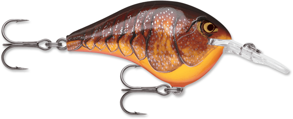 Rapala DT - Poissons Nageurs - Kit de pêche