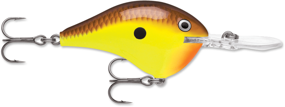 Rapala DT - Poissons Nageurs - Kit de pêche