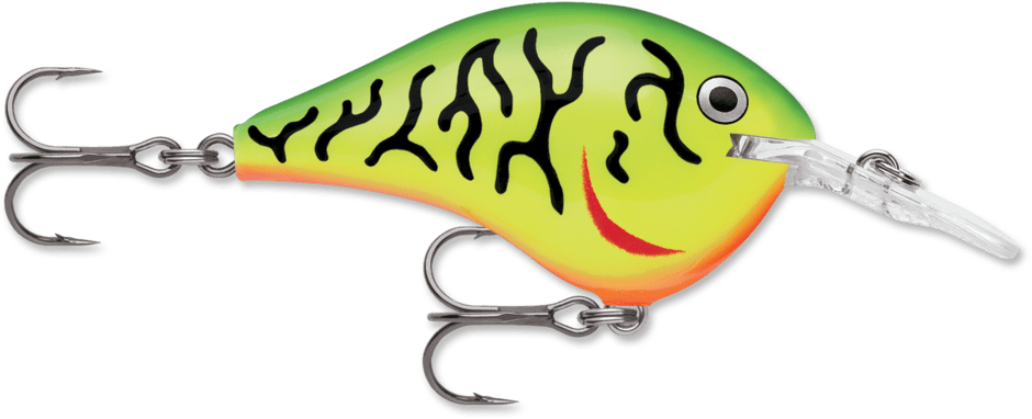 Rapala DT - Poissons Nageurs - Kit de pêche