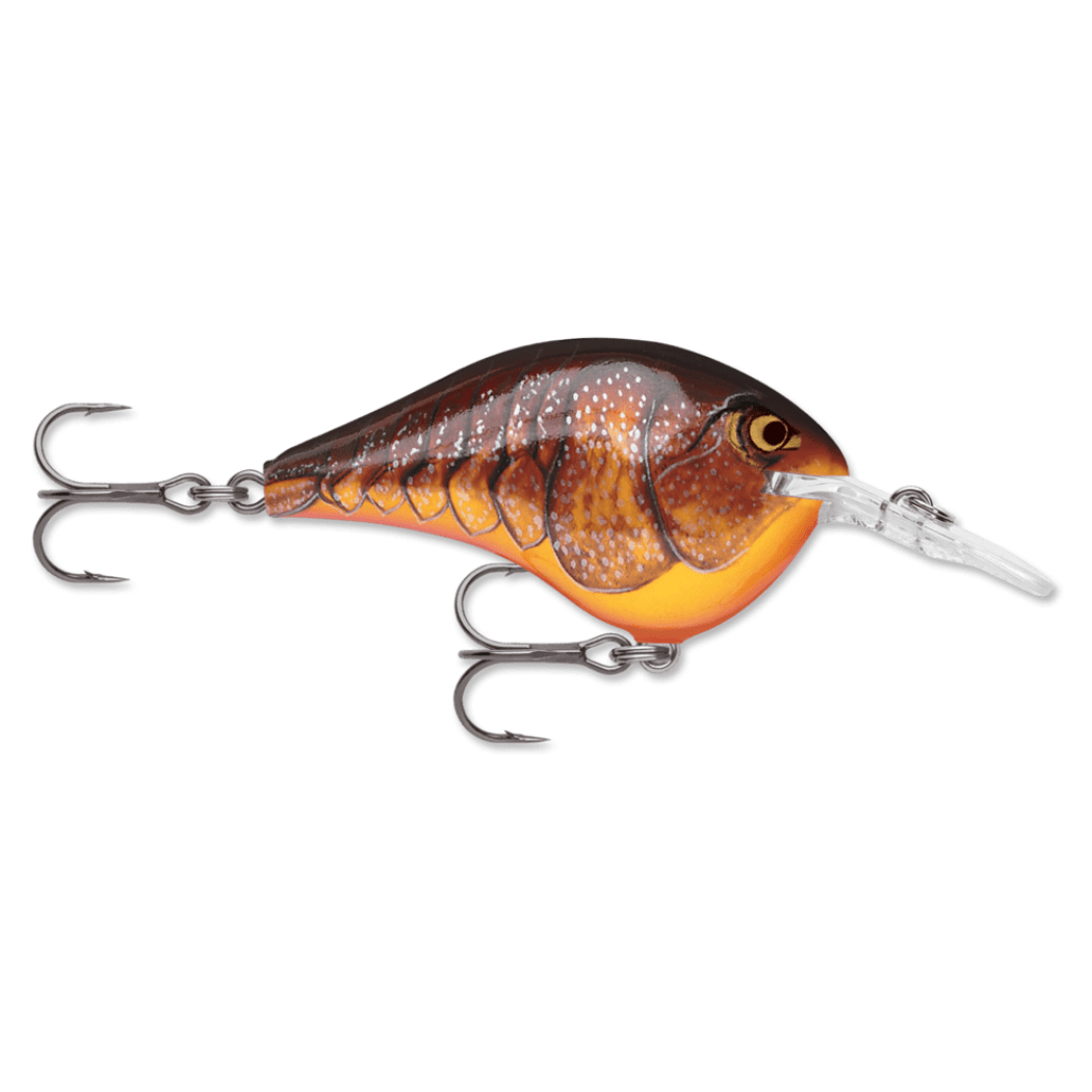 Rapala DT - Poissons Nageurs - Kit de pêche