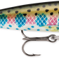Rapala F - Poissons Nageurs - Kit de pêche