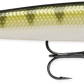 Rapala HJ - Poissons Nageurs - Kit de peche