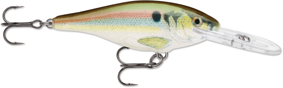 Rapala SR - Poissons Nageurs - Kit de peche