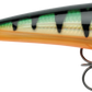 Rapala XR - Poissons Nageurs - Kit de peche