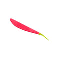 Slim Minnow - Leurres Souples - Kit de pêche
